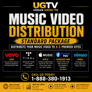 Standard Music Video Distribution Package: 4–5 Platform Video Placement