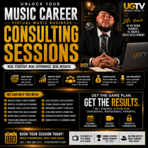 Music Business Consulting Session for Artists & Creators
